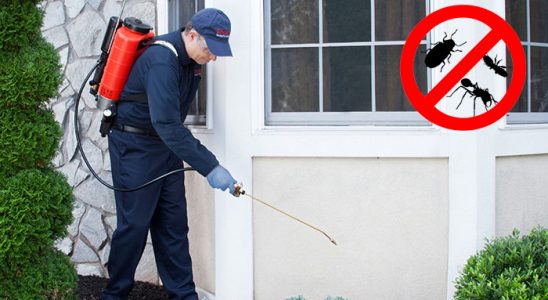 İncesu Dezenfeksiyon böcek ilaçlama ve haşere kontrolü — ilaclama-tr.com